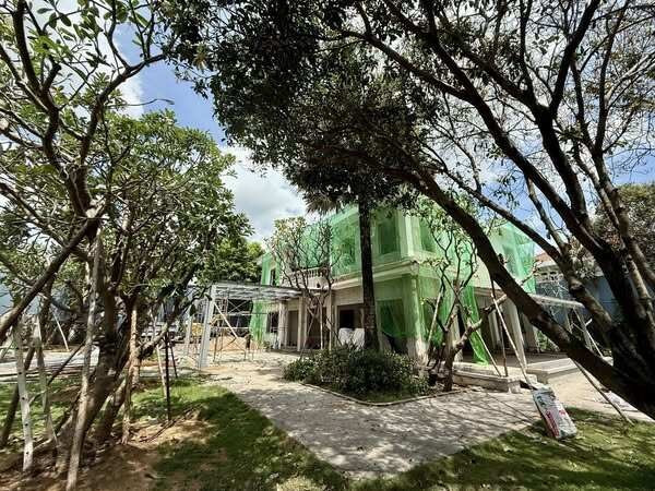 Từ vài tháng trước, Đỗ Mạnh Cường hào hứng cho biết, mỗi ngày trồng cây thêm chút để khu vườn ngày càng xanh mát. Ảnh: FB Do Manh Cuong