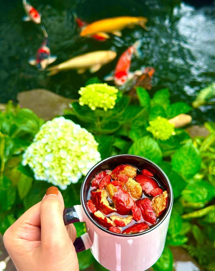 Lã Thanh Huyền nhâm nhi trà thảo mộc, ngắm đàn cá Koi và hoa cẩm tú cầu khoe sắc. Ảnh: FB Lã Thanh Huyền