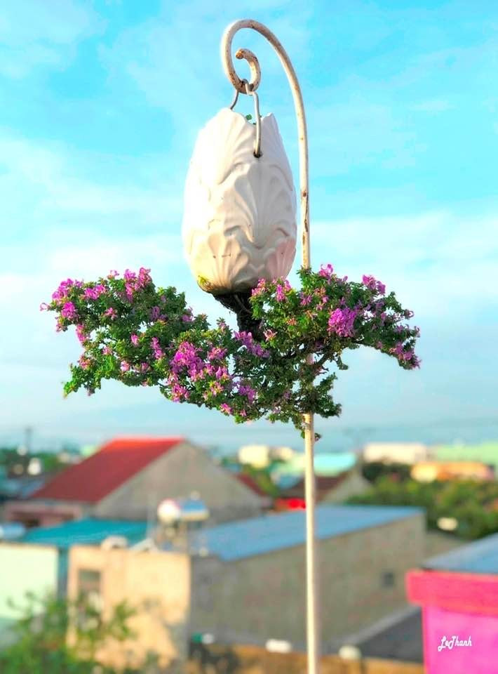 Khu ban công và sân thượng rộng khoảng 80 m2 được ông sử dụng làm không gian sáng tạo, trưng bày khoảng 100 chậu bonsai ngược. Ảnh: FB Lê Thạnh