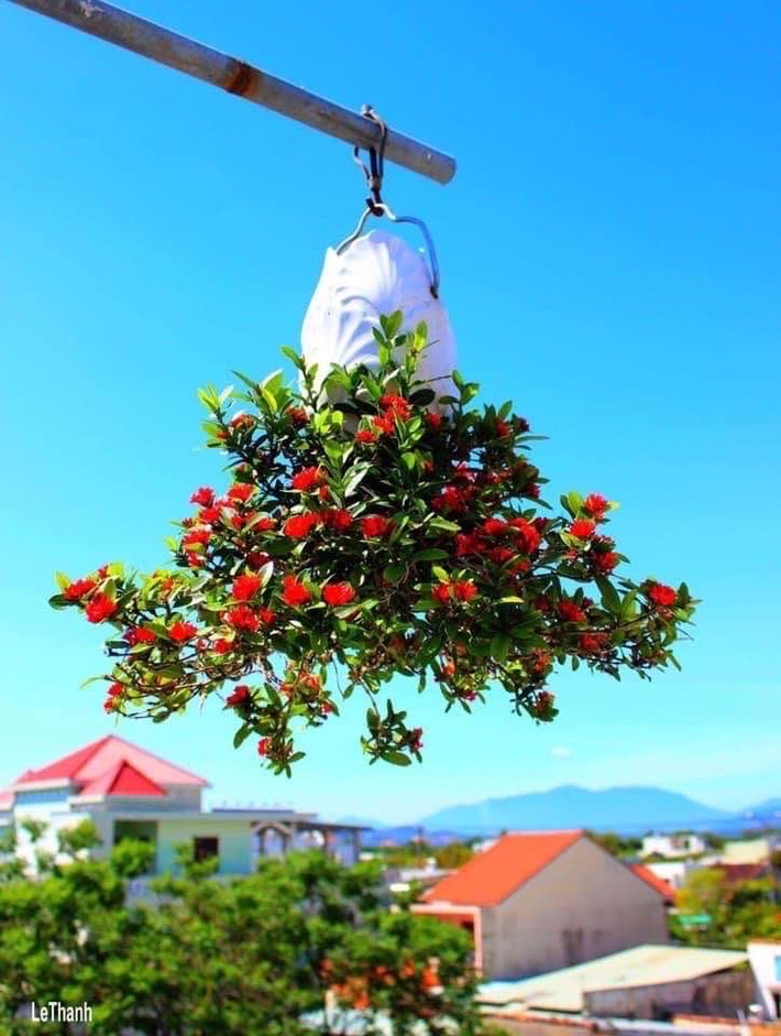 Chậu cho bonsai ngược có thể là lộc bình, chai rượu...phù hợp với từng dáng, thế cây. Ảnh: FB Lê Thạnh