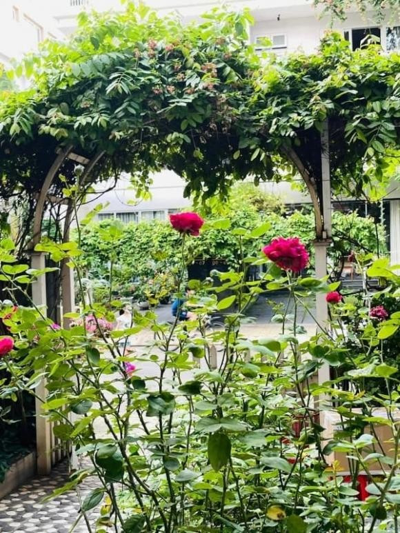 Ngôi nhà mang phong cách hiện đại, nhiều cây xanh và hoa lá, mang lại cảm giác gần gũi thiên nhiên. Ảnh: FB Thân Thuý Hà
