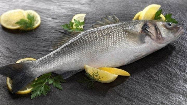 Chiều dài cá có thể phát triển lên tới 1,8 mét trong môi trường tự nhiên, tuy nhiên cá chẽm nuôi thường nặng khoảng 1,5 – 2 kg/con. Ảnh: Phạm Nghĩa Food