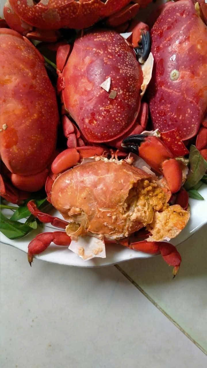 Thậm chí, một số nơi bán cù kỳ theo con chỉ 19.000 đồng. Vì thế, nhiều người gọi vui cù kỳ là “cua hoàng đế phiên bản Việt” - ăn thỏa thích không lo “đau ví”. Ảnh: Facebook