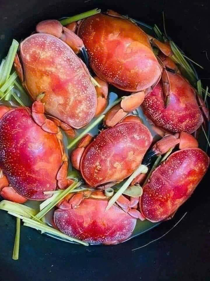 Trong khi cua hoàng đế giá lên đến tiền triệu mỗi kg, cù kỳ chỉ bằng một phần mười nhưng vẫn khiến không ít người mê mẩn bởi độ thơm ngon và hương vị đậm đà. Ảnh: Facebook