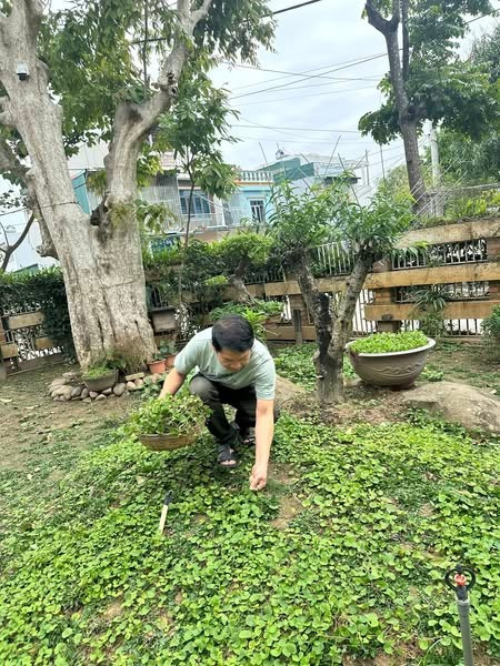 Giây phút làm vườn không chỉ là công việc mà còn là cách để nam ca sĩ tìm lại sự thư thái giữa nhịp sống bận rộn. Ảnh: FBNV
