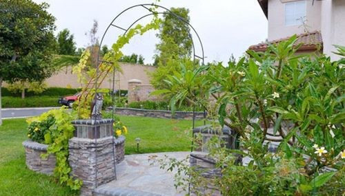 Biệt thự có khu vườn rộng, trồng nhiều cây trái quen thuộc của Việt Nam. Ảnh: FBNV