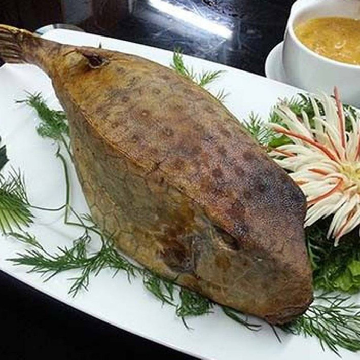 Mặc dù có ngoại hình kỳ dị nhưng hương vị thịt cá bò hòm lại được xếp vào hàng thượng hạng. Ảnh: Facebook