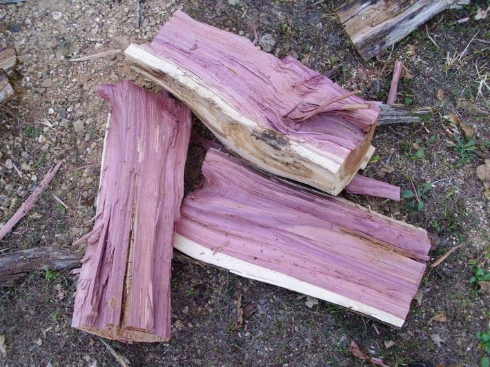 Càng để lâu ngoài môi trường và tiếp xúc với ánh sáng, gỗ sẽ trở thành màu nâu sẫm xen lẫn màu tím. Ảnh: Cutex