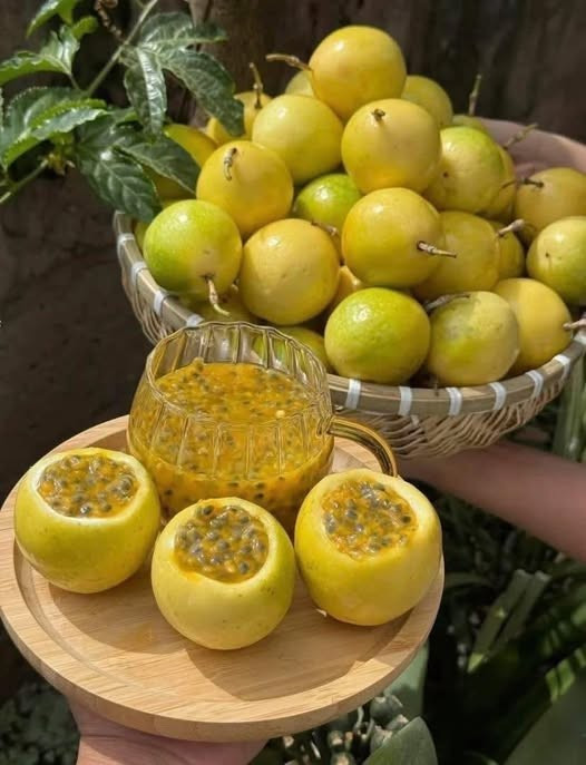 Bên cạnh đó, chanh leo vàng lại có hương thơm của ổi, sự kết hợp tưởng chừng không liên quan nhưng lại là đặc trưng của dòng chanh này.