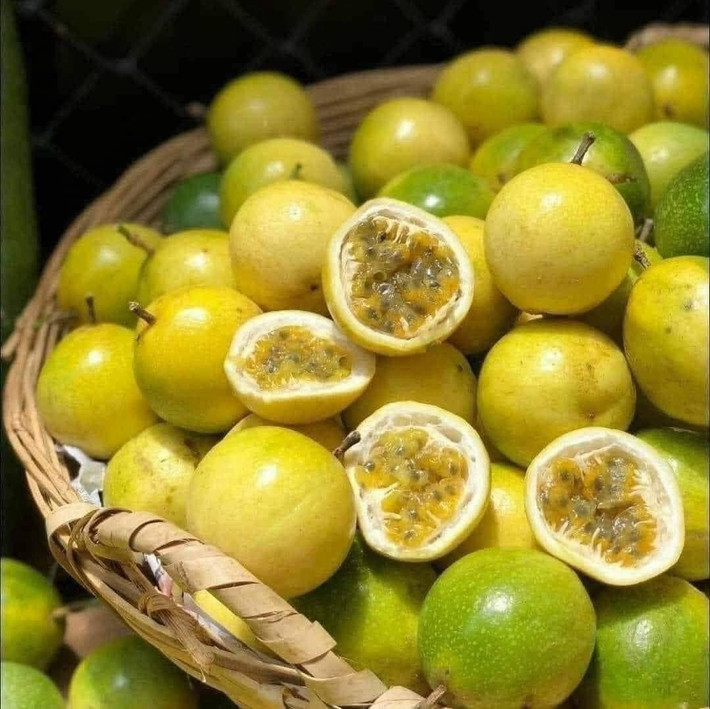 Chanh leo vàng ngọt, thơm hương ổi nên cả nhà chị Thảo (Hà Nội) rất thích. Mỗi lần chị Thảo thường đặt vài kg để cả nhà cùng thưởng thức. Ảnh: Facebook