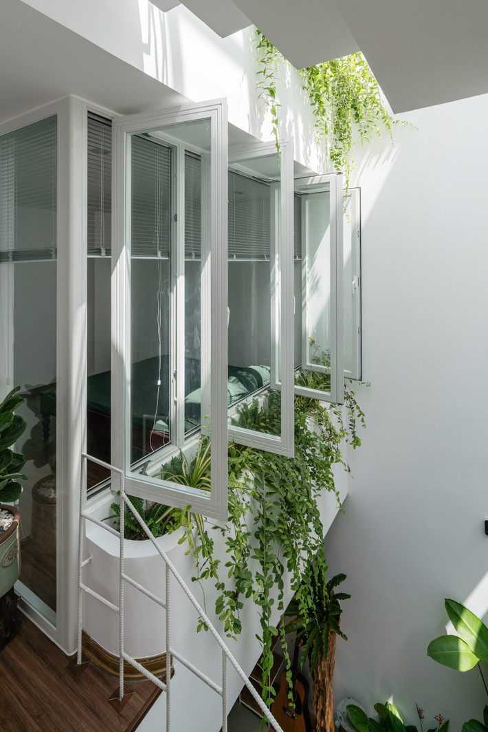 Cây xanh góp phần cân bằng năng lượng, giúp nhà phố không quá nóng bức trong những ngày hè oi ả. Ảnh: Quang Trần