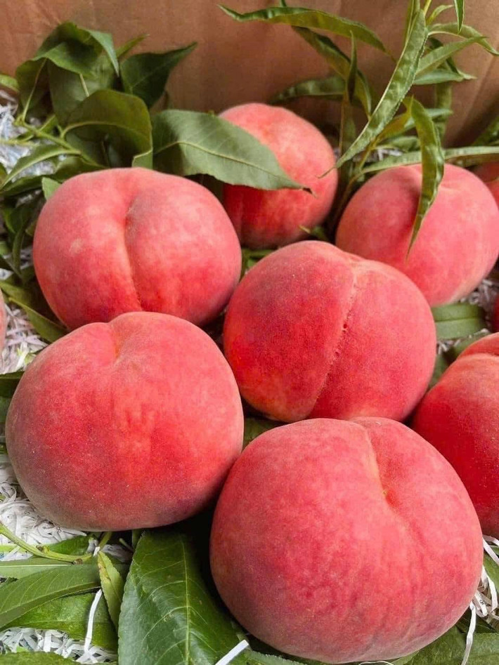 Đào tiên giá từ 120.000 - 160.000 đồng/kg (3 quả). Nếu mua theo thùng (9 - 9,5kg, khoảng 30 trái), đào tiên Bắc Kinh giá khoảng 820.000 đồng/thùng. Ảnh: Facebook