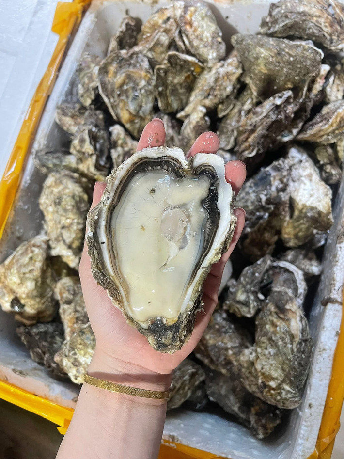 Chị Ly (một đầu mối ở Hà Nội) cho biết, hàu vàng mẫu mã bắt mắt, giá lại rẻ nên bán chạy hơn cả hàu nội. Ảnh: Facebook