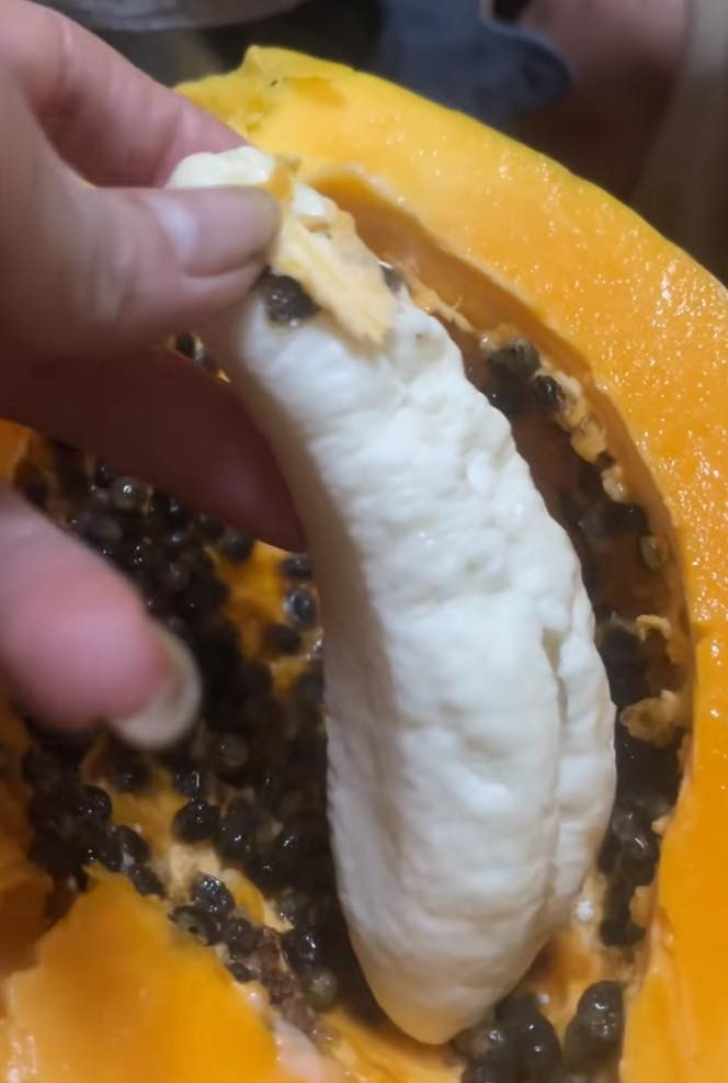 Bổ tiếp quả đu đủ thứ hai đã mua, chủ nhân cũng gặp hiện tượng tương tự nhưng bên trong một lõi màu trắng to. Ảnh: Thư Dương