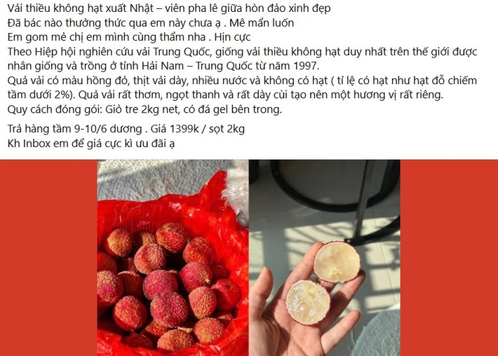 Bên cạnh đặc sản vải thiều Bắc Giang, Hải Dương đang "nhuộm đỏ" khắp các khu chợ với giá chỉ vài chục nghìn/kg, trên thị trường còn xuất hiện loại vải thiều không hạt giá lên tới 700.000 đồng/kg. Ảnh chụp màn hình