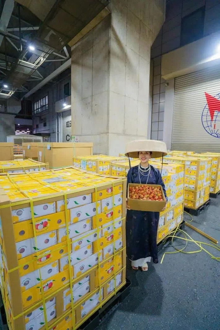 Lô vải thiều đầu tiên trong năm 2025 của Việt Nam hạ cánh tại Nhật Bản ngày 29/5/2025. Lô vải gồm 3,7 tấn quả được thu mua từ các xã thuộc huyện Lục Ngạn (Bắc Giang), nơi đã đạt chuẩn GlobalG.A.P về quản lý vùng trồng và an toàn thực phẩm. Ảnh: VTV