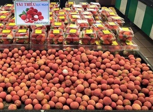 Giá bán sỉ vải Việt Nam tại siêu thị Costco ở thành phố Adelaide là 18.99 AUD/kg (khoảng gần 350.000 đồng/kg). Ảnh: Thuonghieucongluan