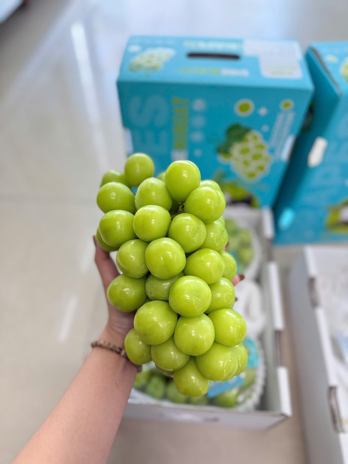 Từ năm 2006, nho sữa Nhật Bản du nhập vào Trung Quốc. Năm 2020, nho sữa Trung Quốc lần đầu xuất hiện tại chợ Việt với giá dao động từ 170.000 - 250.000 đồng/kg. Ảnh: Facebook