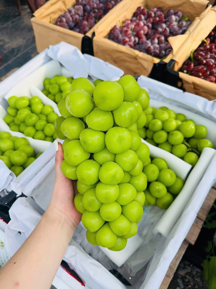 Nói về nguồn gốc, chị Duyên cho biết, nho sữa giá rẻ chỉ vài chục nghìn đồng/kg bán đầy chợ là nho trồng tại Trung Quốc. Ảnh: Facebook