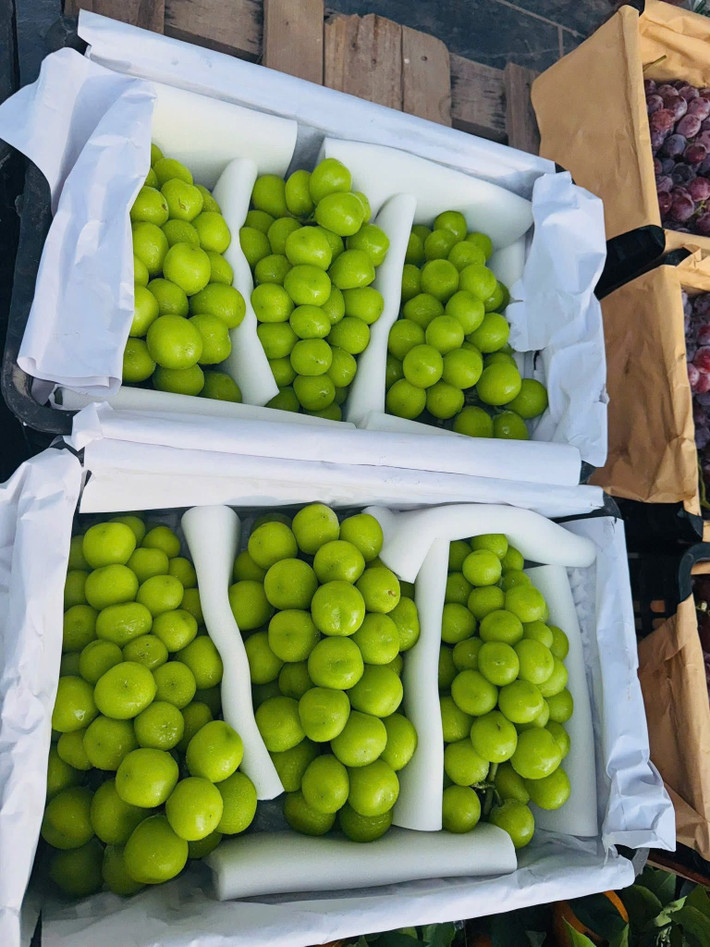 Theo đó, những chùm nho từng được coi là hàng cao cấp giá chỉ từ 30.000 - 120.000 đồng/kg, tùy loại. Ảnh: Facebook