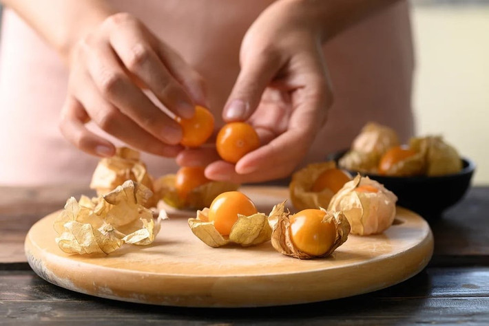 Quả tầm bóp được cho là có nhiều lợi ích với sức khỏe con người như chống oxy hóa mạnh, phòng ung thư, hỗ trợ kiểm soát tiểu đường. Ảnh: Internet