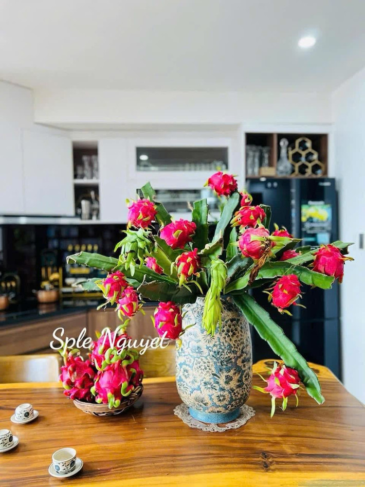 Cành thanh long bản chất là cành rủ, khi cắm lên bình, những vị khách lần đầu đều cảm thấy khó cắm. Ảnh: FB Sple Nguyet