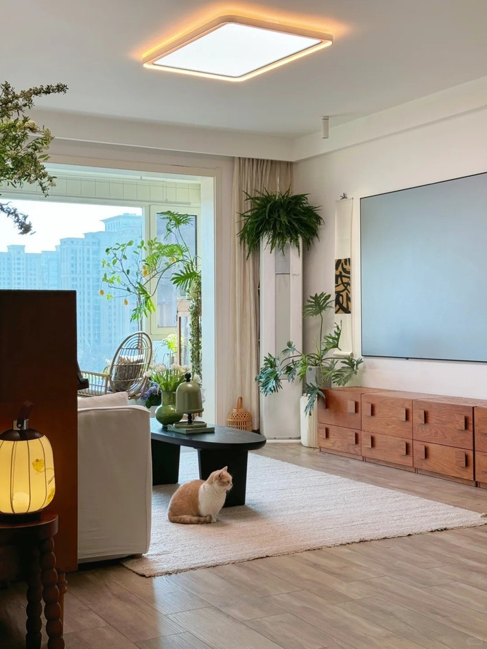 Bằng con mắt nghệ thuật của một nhiếp ảnh gia tài năng, Tiểu Giang biến tổ ấm thành một không gian sống tinh tế, nơi ánh sáng, cây xanh và nội thất hòa quyện, góc nào lên hình cũng đẹp như trong tranh. Ảnh: Sohu