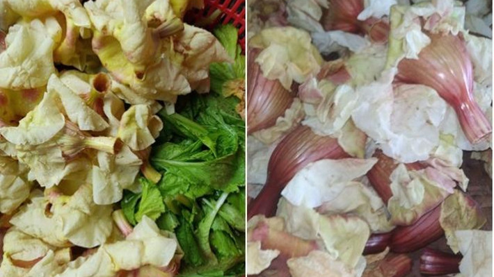 Do cây mọc cao, người dân thường chờ hoa rụng tự nhiên vào ban đêm, sáng sớm ra nhặt khi hoa còn tươi rói, đẫm sương. Ảnh: Internet