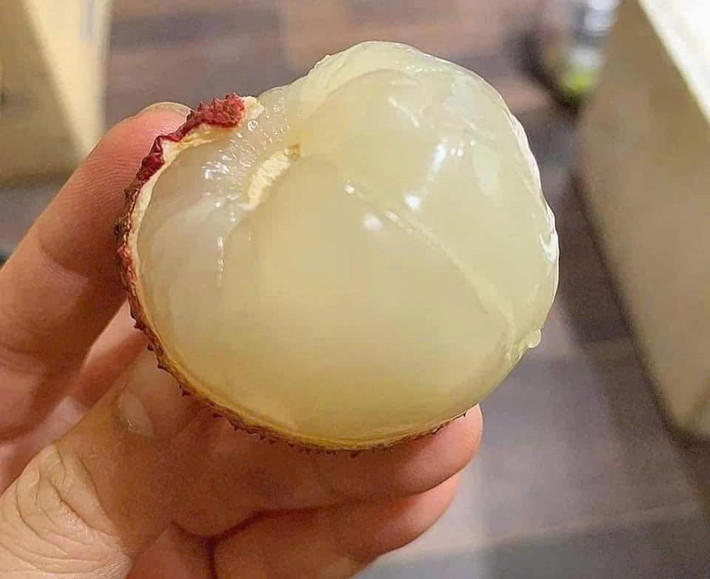Hàng năm, chỉ có duy nhất thời điểm một tháng từ giữa tháng 5 cho đến cuối tháng 6 được xem là vải trứng Hưng Yên vào vụ thu hoạch. Ảnh: Facebook