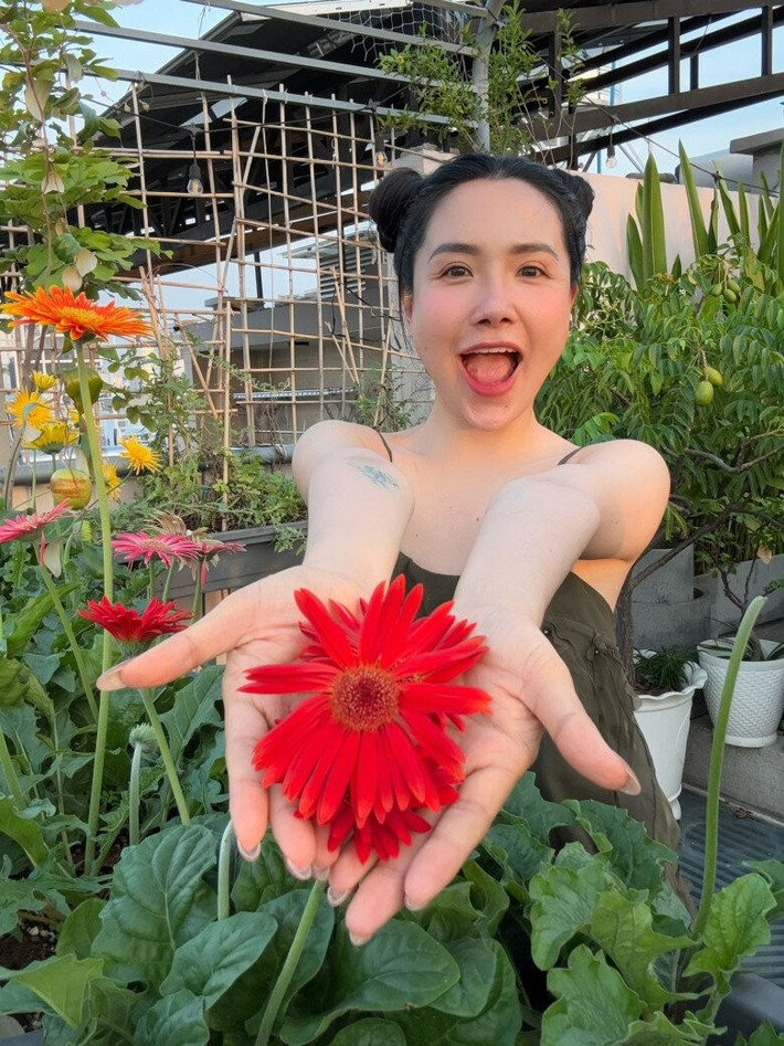 Hoa đồng tiền màu sắc nổi bật trên nền xanh của rau lá. Ảnh: FB Viên Vibi