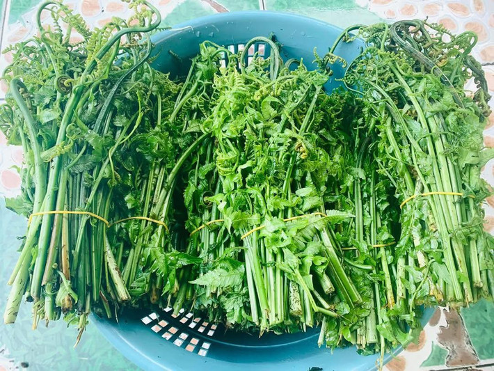 Ăn rau dớn thường xuyên còn giúp dễ ngủ, cơ thể thoải mái. Ảnh: Facebook