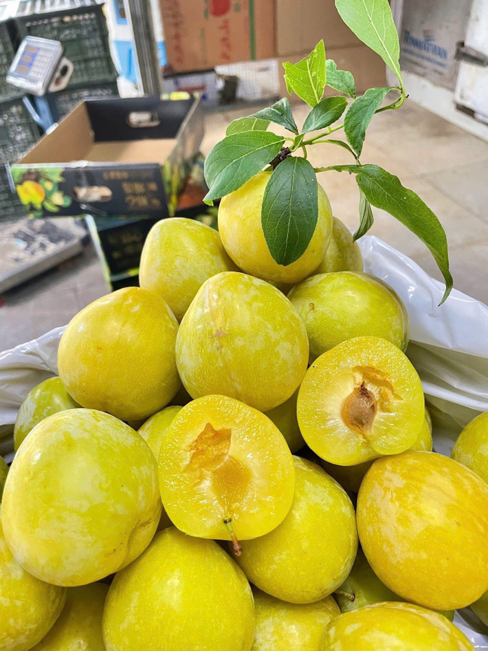Mận cau loại vừa, giá khoảng 40.000 đồng/kg. Trong khi đó, loại mận nhỏ hơn, giá chỉ từ 25.000 đồng/kg. Ảnh: Facebook