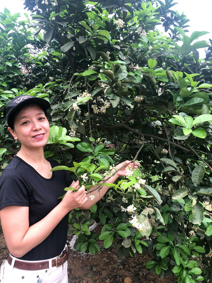 Mảnh đất ngay cạnh điếm canh đê Sông Tích của xã, được gia đình nữ nghệ sĩ mua khoảng 20 năm trước để trồng các loại rau củ nhưng hiện chuyển sang trồng cây ăn quả và nuôi gia cầm. Ảnh: FB Nguyễn Thị Chiều Xuân