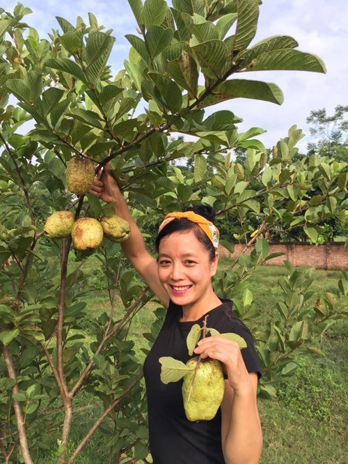 Hàng trăm cây ăn quả trong vườn nhà nghệ sĩ Chiều Xuân trồng theo phương pháp tự nhiên, bón phân hữu cơ. Ảnh: FB Nguyễn Thị Chiều Xuân