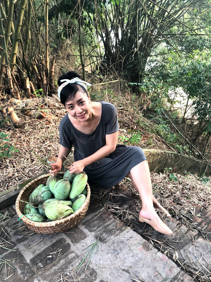 Quả xoài to, căng bóng, ngót nghét hơn 1 kg. Ảnh: FB Nguyễn Thị Chiều Xuân
