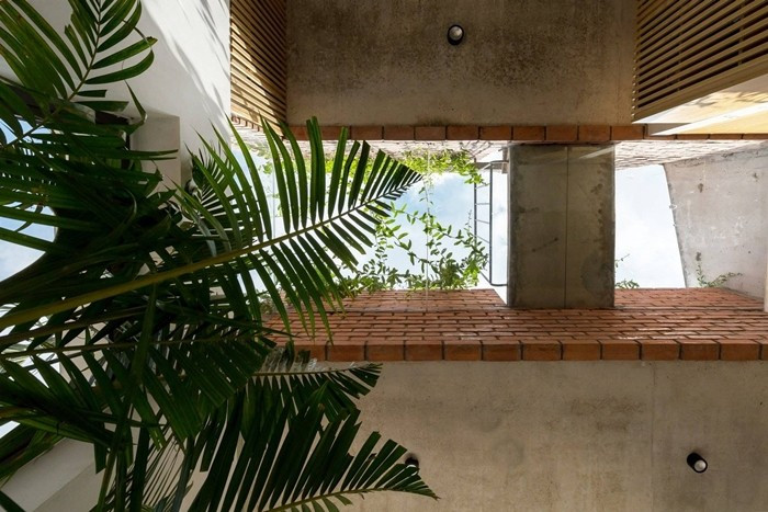 Giếng trời không chỉ giúp lấy ánh sáng, gió tự nhiên mà còn là nơi lý tưởng để trồng cây xanh. Ảnh: Hoàng Lê