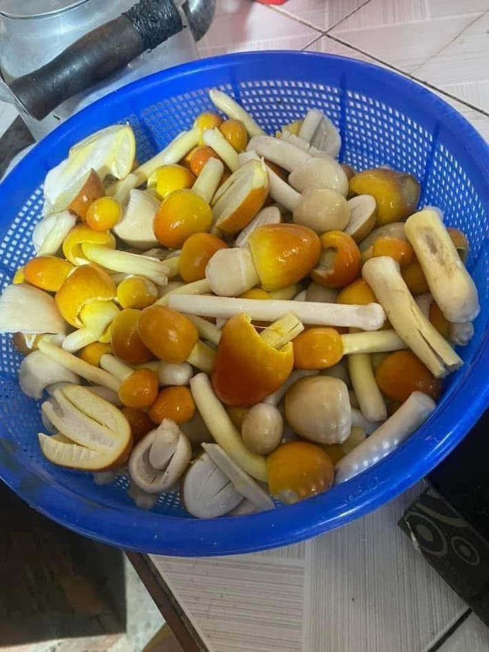 Nhờ mùi vị thơm, ngon, và chỉ xuất hiện theo mùa nên nấm trứng gà được lùng mua dù giá cao. Ảnh: Facebook