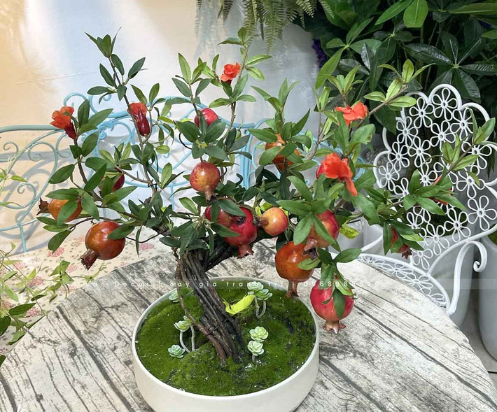 Lựu bonsai thường được trồng ở ban công, bệ cửa sổ hoặc phòng khách, vừa trang trí, vừa giúp tăng vượng khí cho ngôi nhà. Ảnh: Lan Decor
