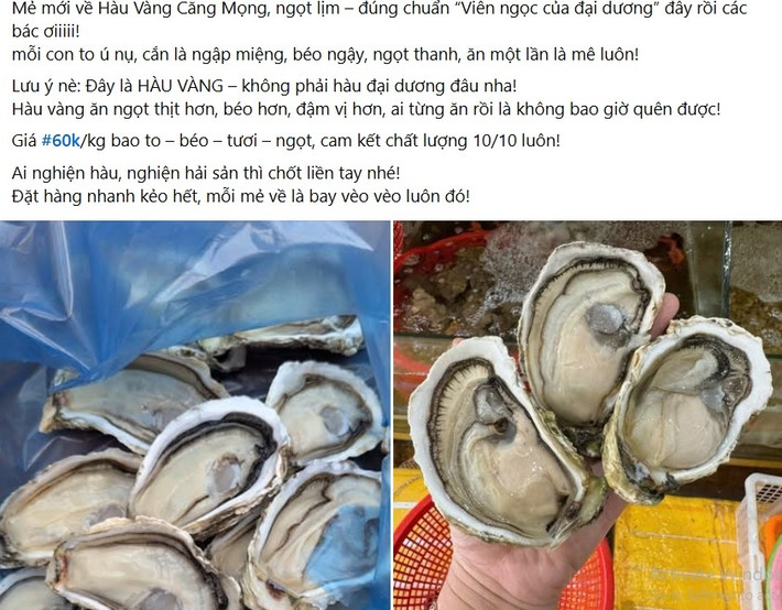 Thời gian gần đây, hàu vàng Trung Quốc ồ ạt vào thị trường Việt, đặc biệt là các chợ miền Bắc và chợ mạng. Ảnh chụp màn hình