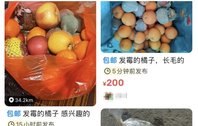 Ngoài ra, một số loại quả khác dâu, chuối, thị...bị mốc cũng được bán rộng rãi trên chợ mạng ở Trung Quốc. Ảnh: Bjnews