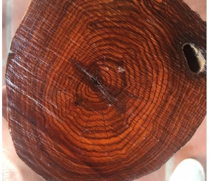 Thớ gỗ mịn cùng với đường vân đều đẹp tạo nên vẻ đẹp độc đáo. Ảnh: Nội thất Long Thành