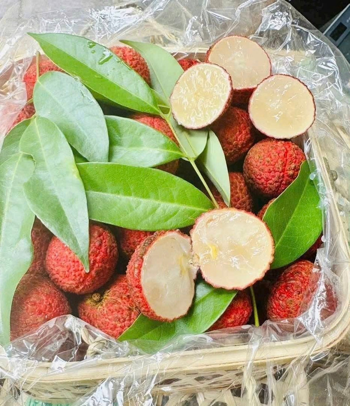 Vải không hạt còn được đánh giá cao bởi độ tươi, độ giòn, hương vị dịu nhẹ, khác biệt so với giống vải truyền thống thường ngọt đậm. Ảnh: Facebook