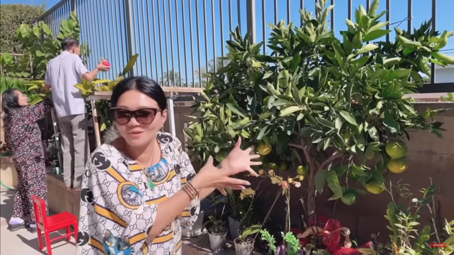 Phía sau nhà là khu vườn rộng trồng đầy đủ các loại cây ăn quả như bưởi, cam, quýt, thanh long, chanh...Ảnh chụp màn hình