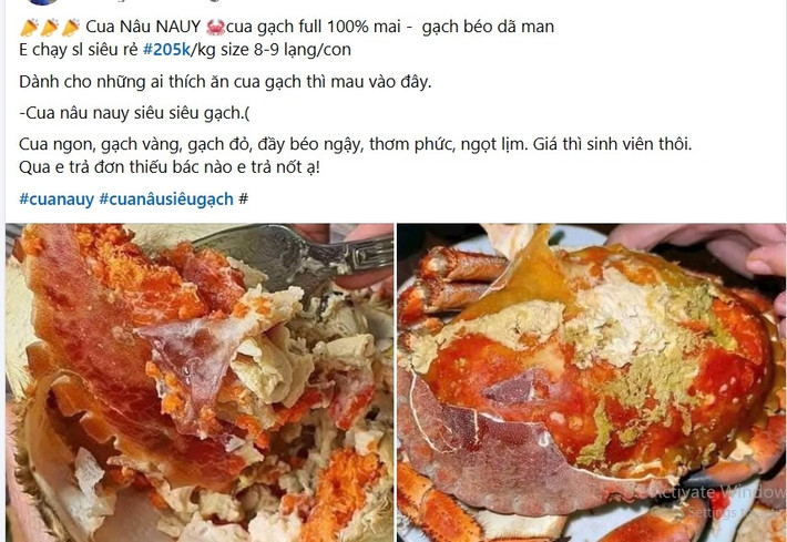Gần đây, cua gạch Na Uy nhập khẩu được rao bán nhiều trên chợ mạng với mức giá rẻ bất ngờ, chỉ 205.000 - 280.000 đồng/kg cho loại trọng lượng 0,8 -1 kg/con. Ảnh chụp màn hình