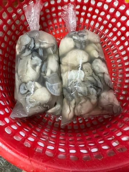 Ruột hàu vàng sau khi tách giá dao động từ 180.000 - 250.000 đồng/kg, tùy loại. Ảnh: Facebook