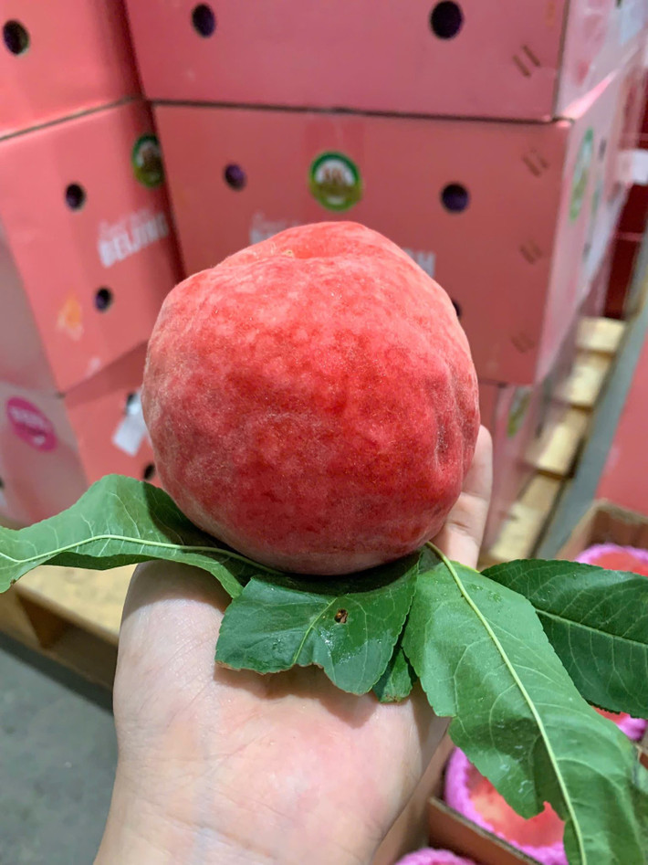 Loại đào này có kích thước lớn, khoảng 3 quả/kg, thậm chí có quả lên đến 400 gram. Ảnh: Facebook