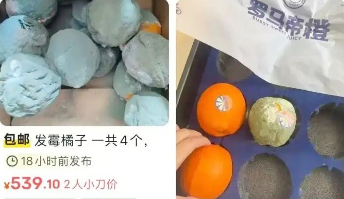 Ngoài ra, còn rất nhiều người đăng bán những quả quýt bị mốc, hỏng, thậm chí vỏ ngoài đã biến dạng. Ảnh: Xin Jing News