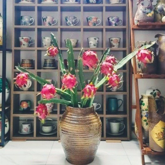 Cành thanh long có đủ màu xanh, đỏ, vàng làm sáng cả không gian. Ảnh: Vietnamnet