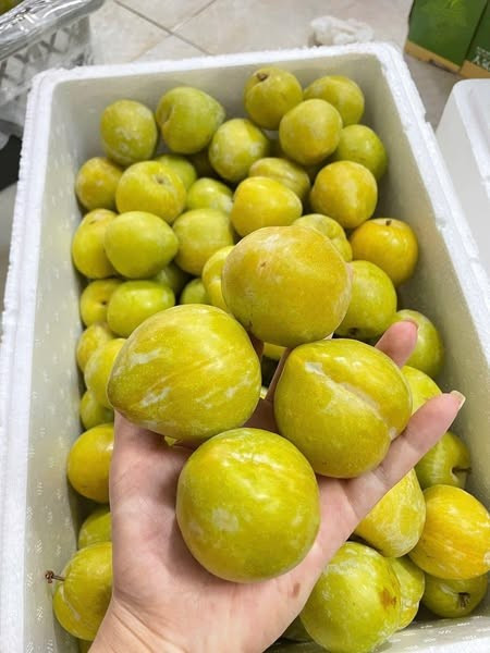 Mận cau VIP loại 9-10 quả/kg giá chỉ 350.000 đồng/thùng trọng lượng 6kg, tính ra tương đương khoảng 60.000 đồng/kg. Ảnh: Facebook