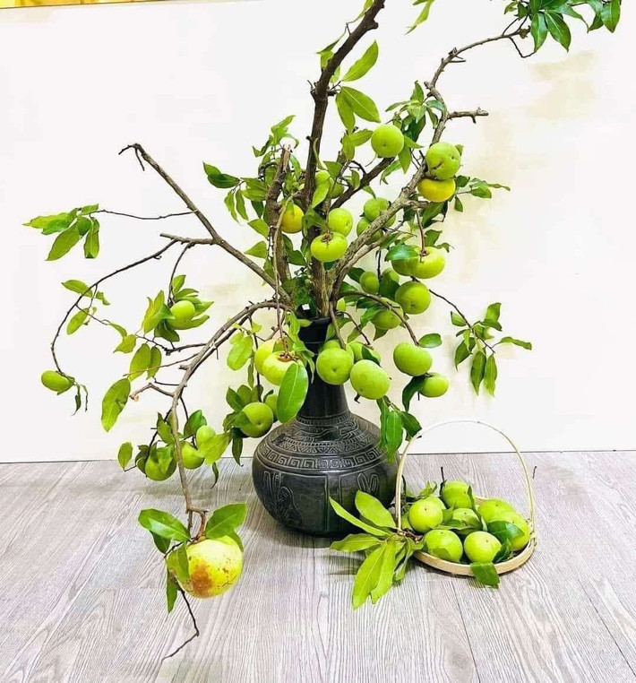 Dù không phải lần đầu xuất hiện trên thị trường, cành quả thị xanh cắm bình vẫn được nhiều chị em ưa chuộng. Ảnh: FB Sple Nguyet